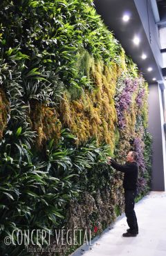Mur Végétal Artificiel gamme feuillu