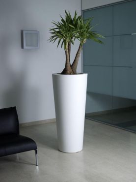 Pot De Fleurs Haut Blanc,Pot De Fleurs Haut Interieur,Pots De