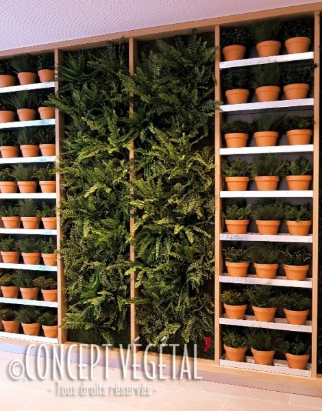 Association de plantes stabilisées et mur végétal artificiel