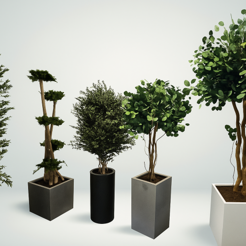 Arbres stabilisés