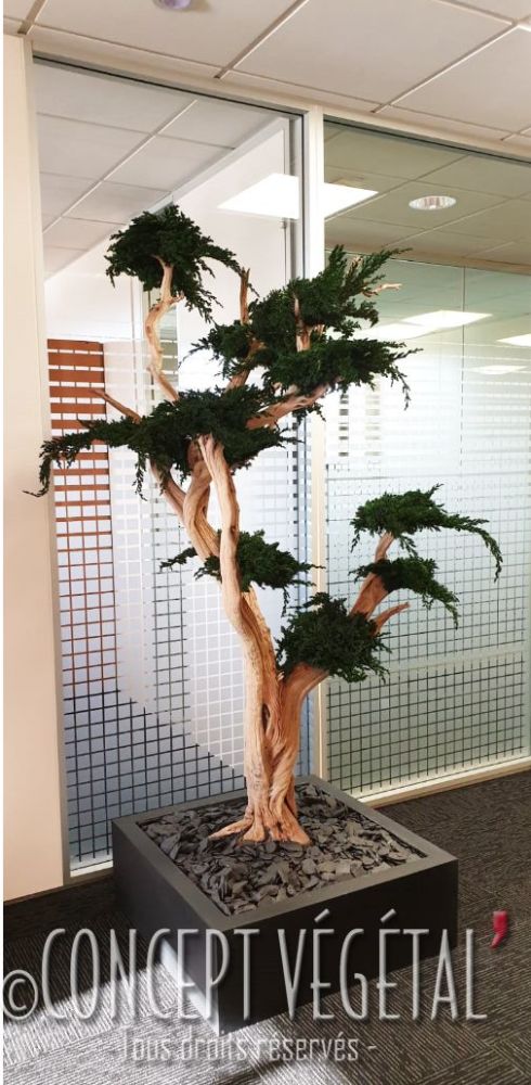 Arbre Rigide Arbre sur mesure naturel stabilisé ou artificiel