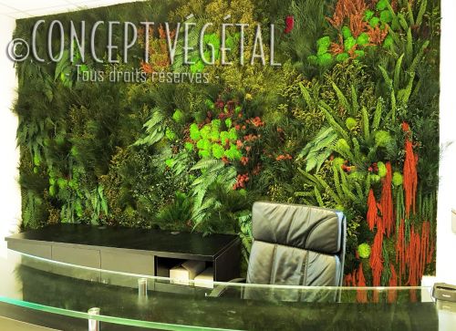 Le Mur Vert - Mur végétal sans entretien naturel stabilisé plafond  artificiel 3D Décoration végétalisée