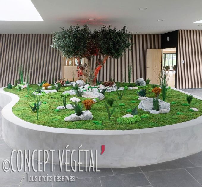 L’olivier est installé au centre d’un jardin intérieur aménagé avec des roches, du gravier et un tapis de mousse décorative.