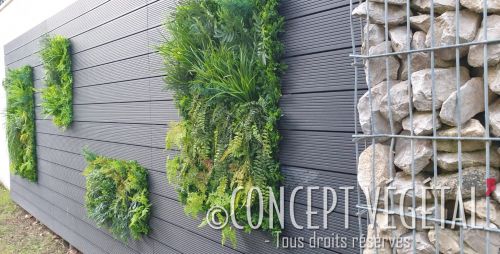 Mur végétalisé : installation de mur végétal - Odzo