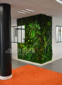 Mur végétal stabilisé intérieur