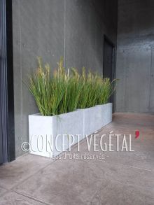 Herbes Graminées artificielles