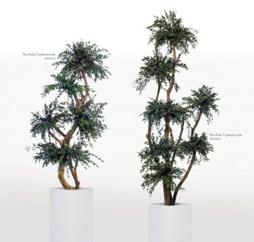 Arbre 5 ou 7 boules stabilisé Parvafolia