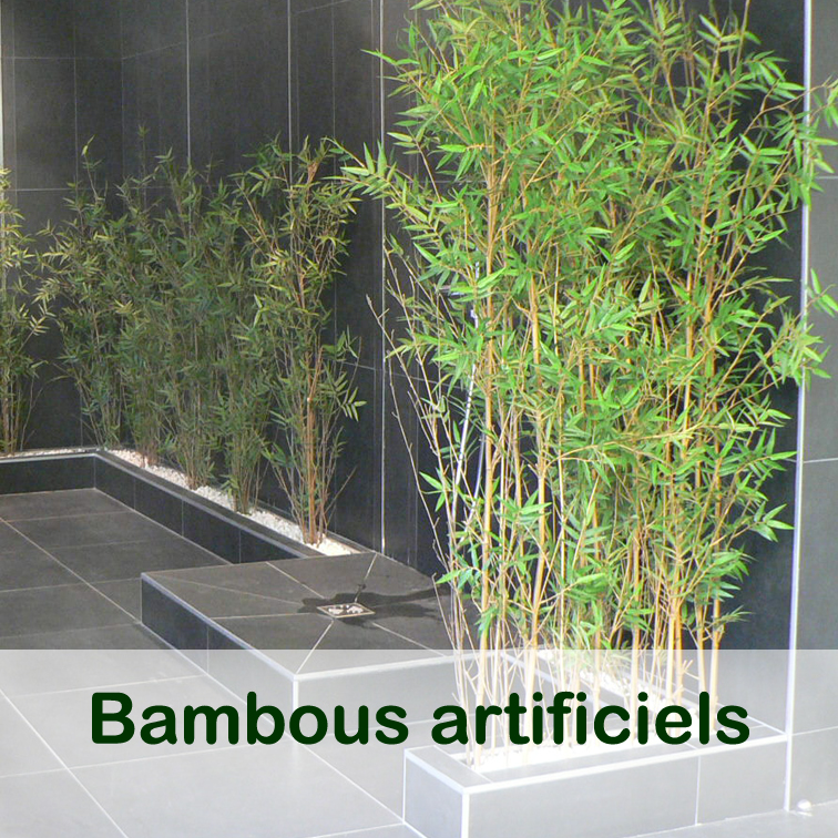Catalogue Bambou