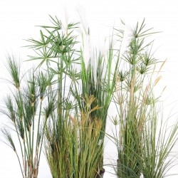 Graminées herbes artificielles