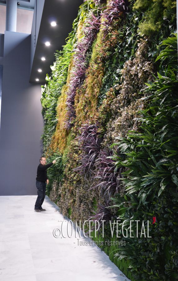 Les plantes artificielles font le mur !