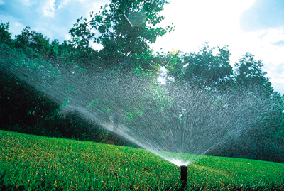 Arrosage, solution pour plante naturelle stabilisée, sans entretien, sans eau, sans terre, sans lumière