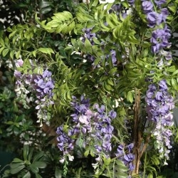 Arbres fleuris et fruitiers artificiels