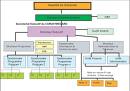 Organisation - plantes naturelles stabilisées, plantes sans entretien, sans eau, sans terre, sans lumière