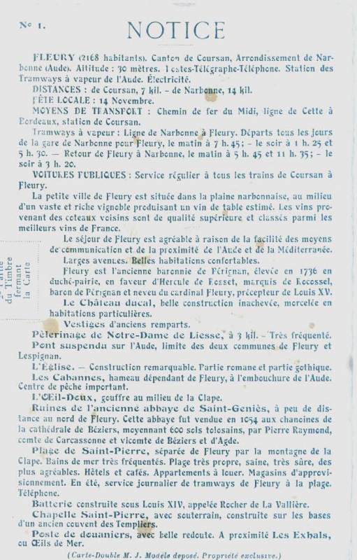 recommandations – plantes naturelles stabilisées, plantes sans entretien, sans eau, sans terre, sans lumière