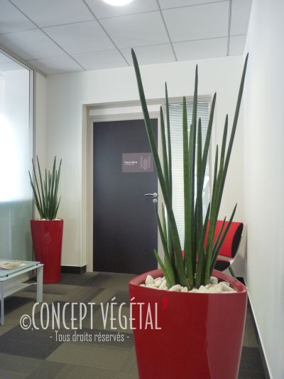 Pot rouge avec plantes artificielles (aloevera)