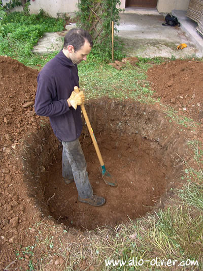 Plantation – plantes naturelles stabilisées, plantes sans entretien, sans eau, sans terre, sans lumière