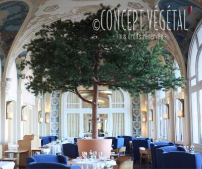 Un arbre monumental dans un palace