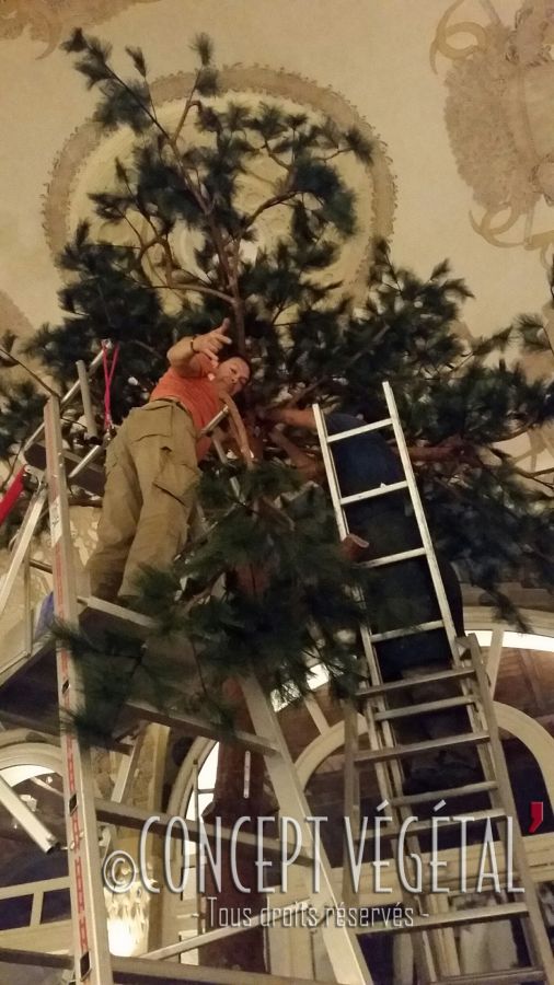 Un arbre monumental dans un palace