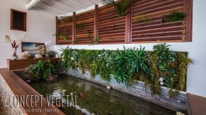 Un mur végétal artificiel au-dessus du bassin aux poissons dans la villa Angel Home à S Barth (Antilles)