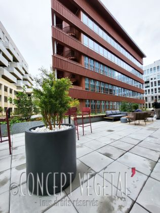 pot résine /pierre avec arbre artificiel pour l'extérieur Hauteur 150 cm