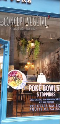 ISLAND POKE 