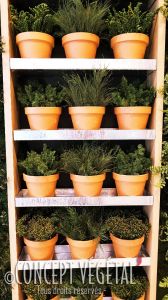 mur végétal artificiel et petites plantes stabilisées en pot