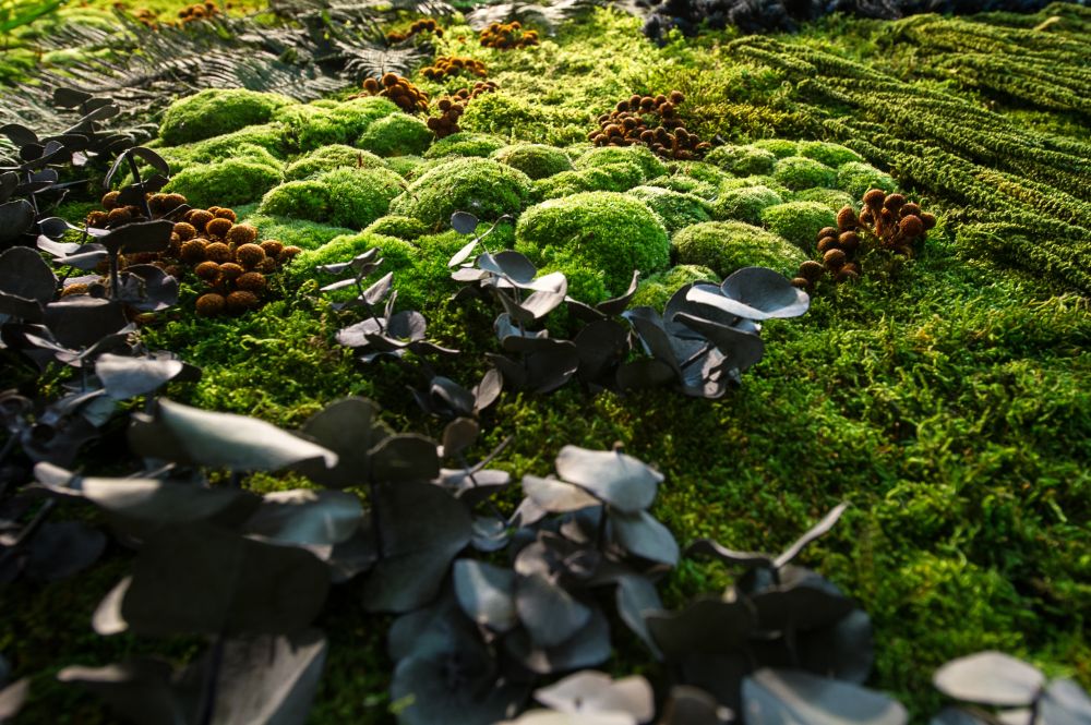 Catalogue Plantes stabilisées naturelles sans entretien