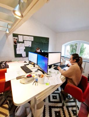 Un équipe d'expert dans le traitement des plantes naturelles pour la stabilisation et la conservation